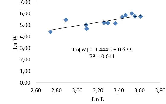 Gambar 12.  Hubungan panjang – bobot teripang getah pada pengamatan II 