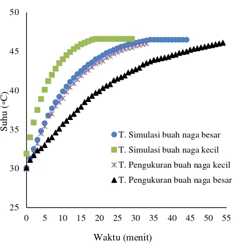 Gambar 11  Hubungan antara nilai pengukuran dan simulasi pada suhu pusat              buah naga  