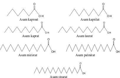 Gambar 2. Struktur asam lemak tidak jenuh dalam Virgin Coconut Oil (Page, 1989) 