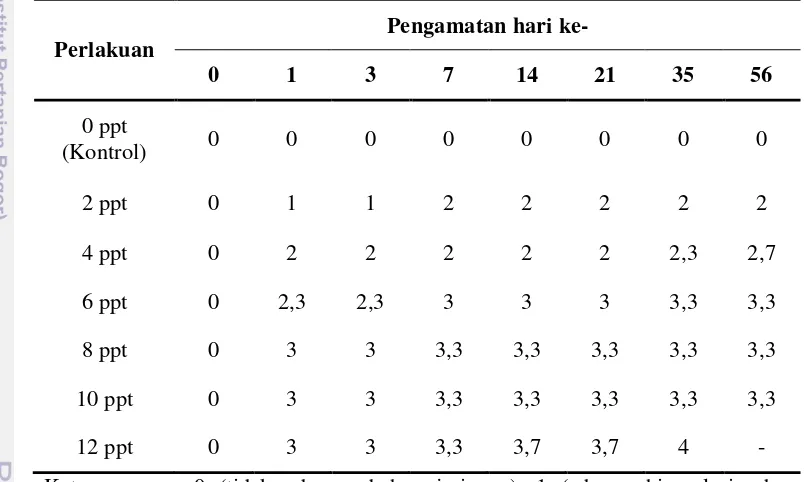 Tabel 10Hasil skoring rata-rata perubahan mikroskopis (histopatologi) insangikan mas yang dipelihara pada media salinitas 2 ppt hingga 12 pptselama 56 hari