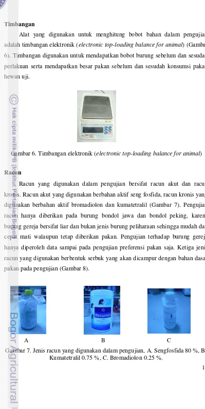 Gambar 6. Timbangan elektronik (electronic top-loading balance for animal) 
