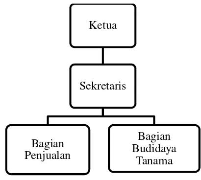 Gambar 5. Struktur Organisasi Vin’s Berry Park 