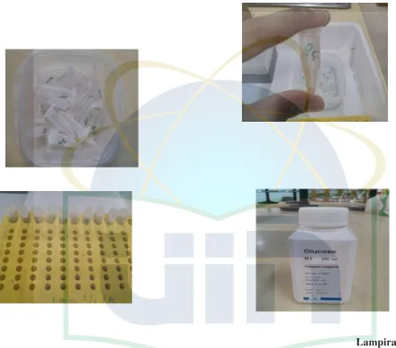Gambaran Proses Penelitian 