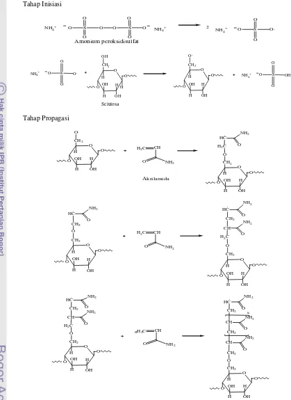 Gambar 4  Mekanisme kopolimerisasi selulosa dengan teknik pencangkokan dan penautan silang menggunakan akrilamida
