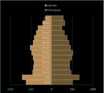 Gambar 3. Piramida Penduduk Desa Bumijawa Tahun 2007