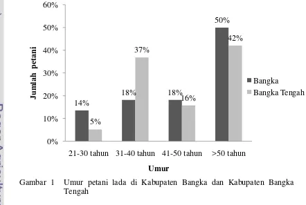 Gambar 1  Umur petani lada di Kabupaten Bangka dan Kabupaten Bangka 