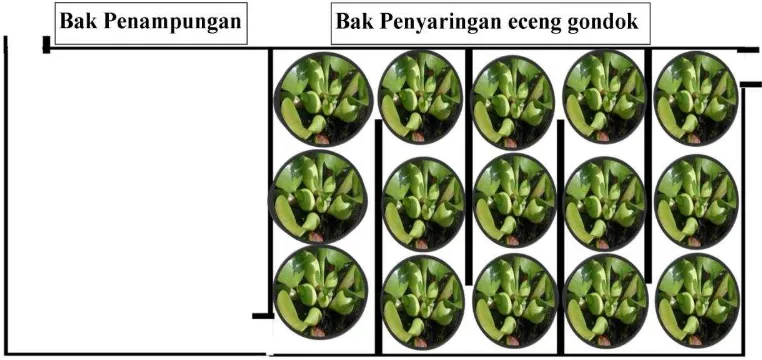 Pengolahan Air Limbah Domestik Dengan Metode Biology Irigation ...