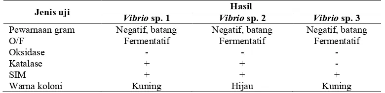 Tabel 1. Jumlah total bakteri Vibrio pada organ ginjal