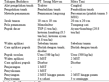 Tabel 8. Perbedaan Budidaya Pakchoi Baby di PT. Saung Mirwan dan Mitra Tani 