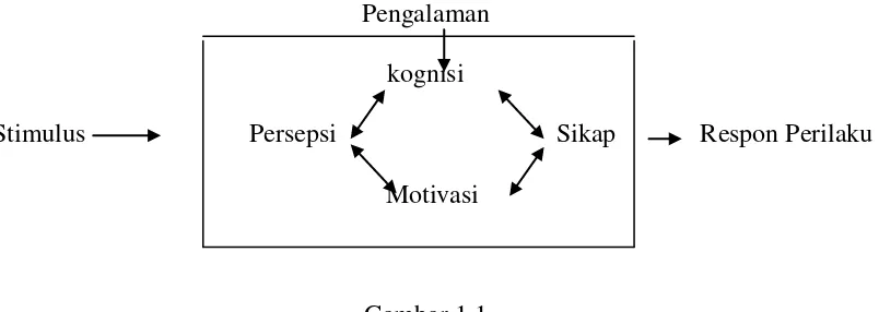 Gambar 1.1 Model Pembetukan Citra menurut John.S Nimpoeno 