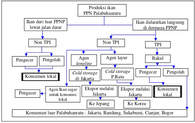 Tabel 9  Perkembangan volume dan nilai produksi di PPN Palabuhanratu tahun     2006-2010 