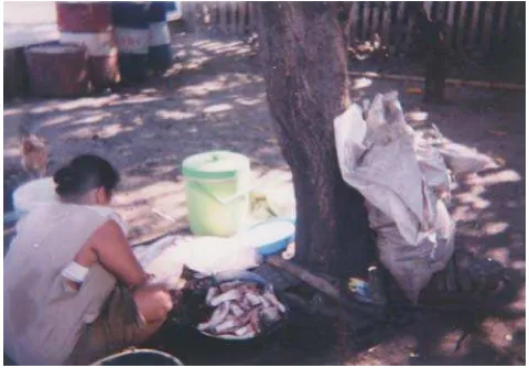 Gambar. 7: Seorang istri nelayan sedang memilih ikan hasil tangkapan suami 
