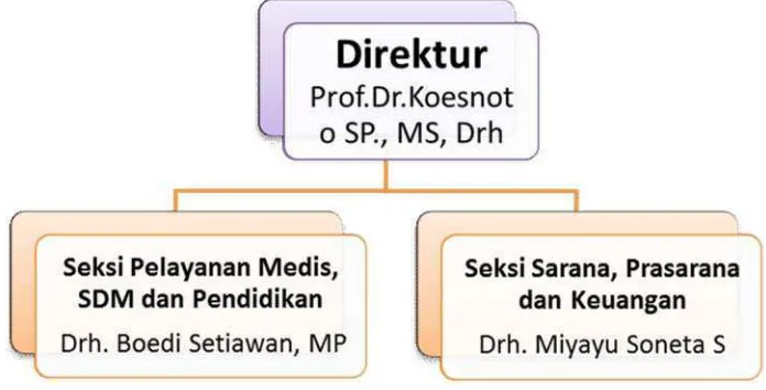 Gambar 4.1 Struktur Organisasi Rumah Sakit Hewan Universitas Airlangga Surabaya 
