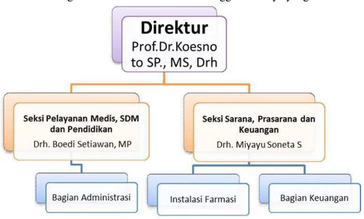 Gambar 4.2 Sruktur Organisasi RSH Universitas Airlangga Surabaya yang Disarankan 