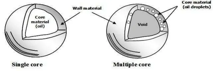 Gambar 1  Perkembangan tehnik mikroenkapsulasi di dunia (Gouin 2004) 
