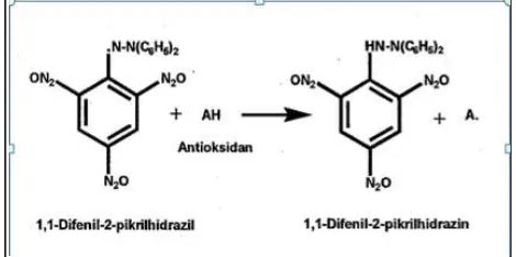 Gambar 6  Reaksi penangkapan radikal bebas DPPH oleh antioksidan       (Artanti dan Hanafi 2008)  