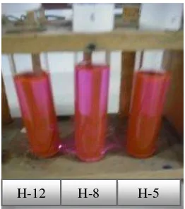 Gambar 11  Kultur Porphyridium cruentum umur 0, 5, 8, dan 12 hari 