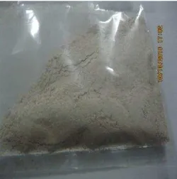 Gambar 14  Produk mikrokapsul Porphyridium cruentum 