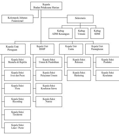 Gambar 4.1. Struktur Organisasi Kebun Binatang Surabaya (KBS) 
