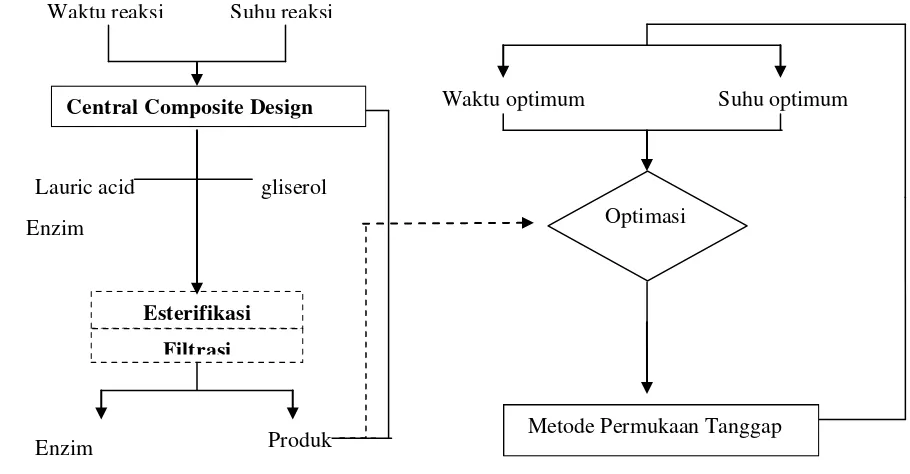 Gambar 14      Diagram alir proses optimasi sintesis monolaurin dengan metode                       circulated packed bed reactor     