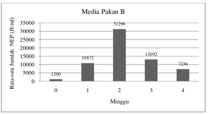Gambar 9. Histogram Rata-rata Jumlah NEP Media Pakan C (usus ayam). 