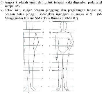 Gambar 11. Proporsi tubuh pria