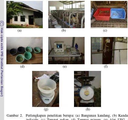 Gambar 2.  Perlengkapan penelitian berupa: (a) Bangunan kandang, (b) Kandang    