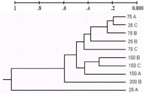 Gambar 20.   Dendogram  jarak genetik ikan butini (G.matanensis) jantan danbetina   berdasarkan hasil analisis hierarki kluster perkedalaman diDanau Towuti.