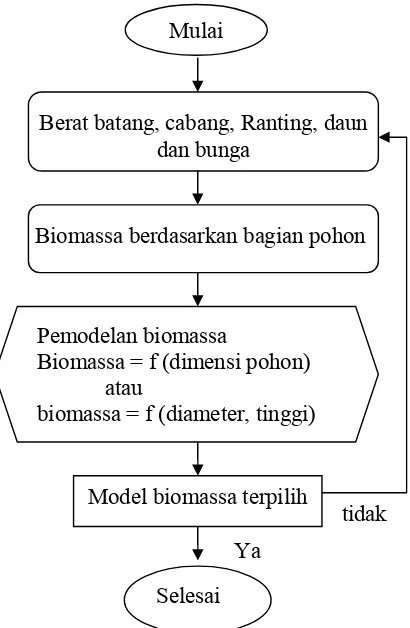 Gambar 7. Diagram alir pembuatan model penduga biomassa pohon Acacia crassicarpa Cunn