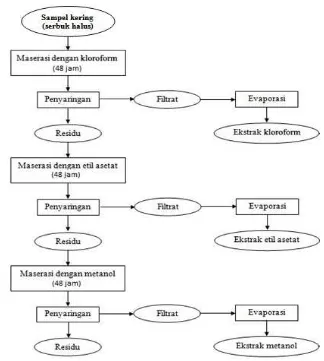 Gambar 6  Diagram alir proses ekstraksi kangkung air (Ipomoea aquatica) (Sumber: Khusniya 2004) 