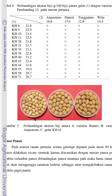 Tabel 6    Perbandingan ukuran biji (g/100 biji) antara galur (1) dengan varietas 