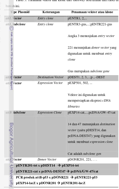 Tabel 5. Tatanama vektor dan klone dari Gateway bisa dilihat dari tabel di 