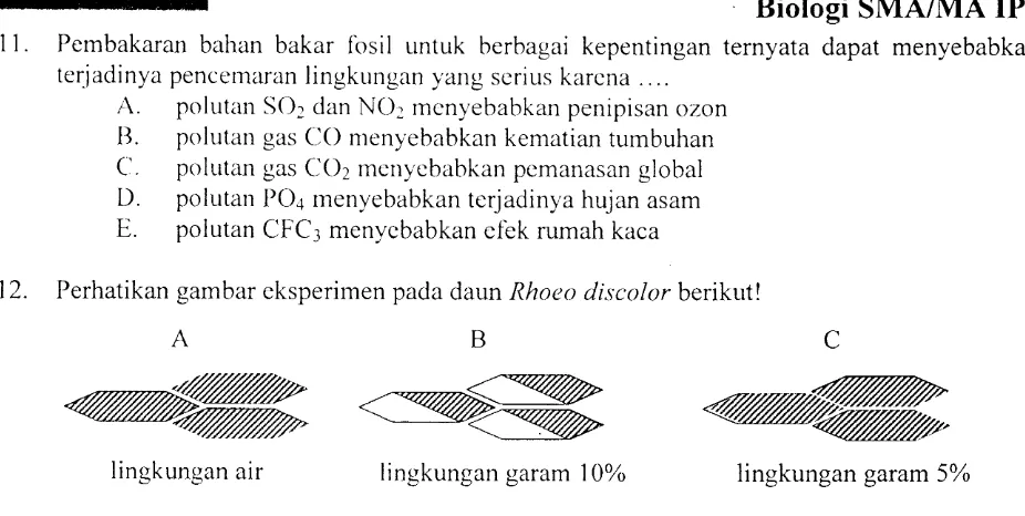 gambar di atas, nama organel bertanda A. kompleks golgi untuk sekresi zatB. 