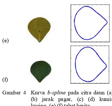 Gambar 4  Kurva b-spline pada citra daun (a) 