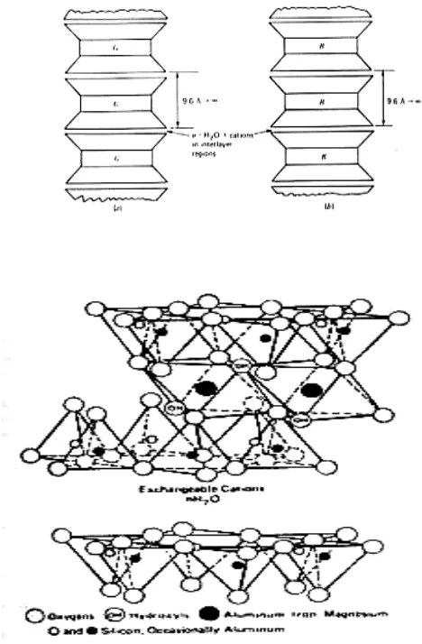 Gambar  1. Diagram skematik struktur  
