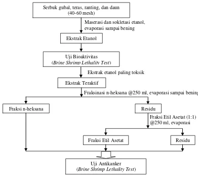 Gambar 2  Bagan Kerja Ekstraksi dan Fraksinasi Bagian Suren beureum (T. sinensis) 