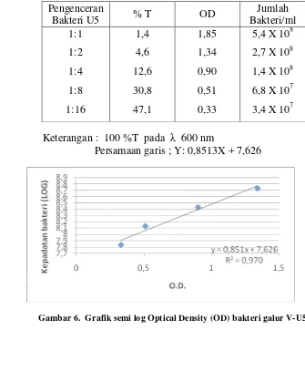 Gambar 6.  Grafik semi log Optical Density (OD) bakteri galur V-U5. 