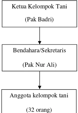 Gambar 2. Struktur Organisasi