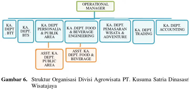 Gambar 6.  Struktur Organisasi Divisi Agrowisata PT. Kusuma Satria Dinasasri 