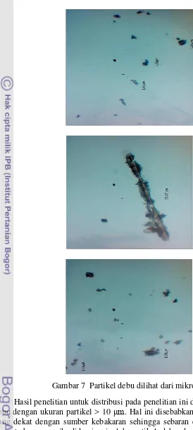 Gambar 7  Partikel debu dilihat dari mikroskop digital 