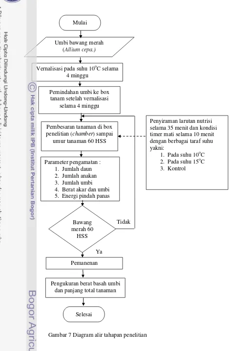 Gambar 7 Diagram alir tahapan penelitian 