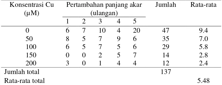Tabel 11. Rerata panjang akar tembakau yang dicekam oleh logam Cu  