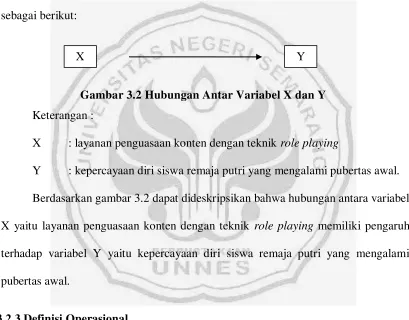 Gambar 3.2 Hubungan Antar Variabel X dan Y 