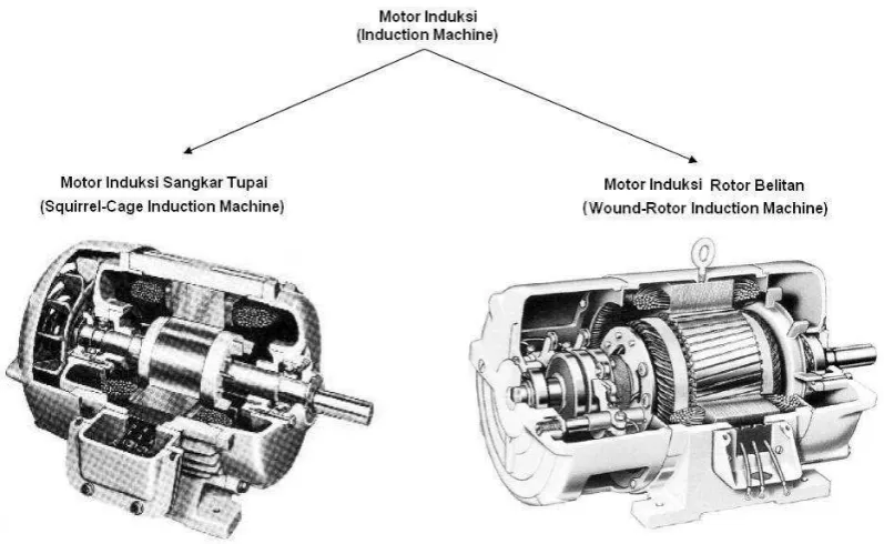Gambar 2.3 Pembagian motor induksi tiga fasa berdasarkan rotornya 