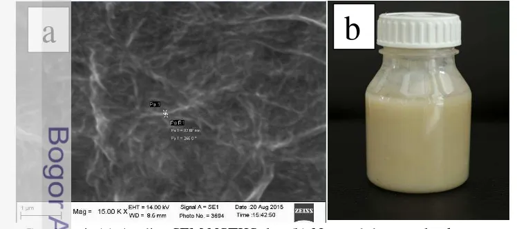 Gambar 4  ( a) Analisa SEM NSTKS dan (b) Nanoselulosa tandan kosong sawit  