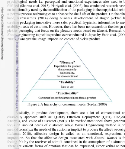 Figure 2 A hierarchy of consumer needs (Jordan 2000) 
