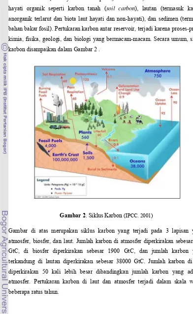 Gambar 2. Siklus Karbon (IPCC. 2001) 
