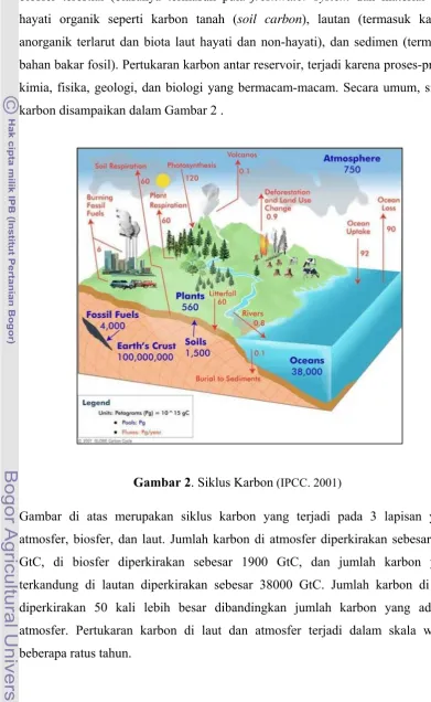 Gambar 2. Siklus Karbon (IPCC. 2001) 