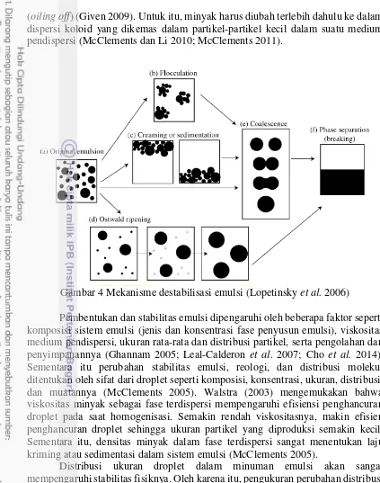 Gambar 4 Mekanisme destabilisasi emulsi (Lopetinsky et al. 2006) 