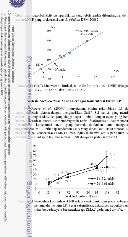 Gambar 11 Perubahan konsentrasi LNB selama waktu inkubasi pada berbagai penambahan enzim LP